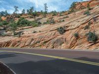 USA Road Landscape: Exploring Zion National Park