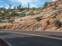 USA Road Landscape: Exploring Zion National Park