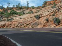 USA Road Landscape: Exploring Zion National Park