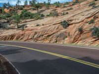 USA Road Landscape: Exploring Zion National Park