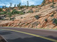 USA Road Landscape: Exploring Zion National Park