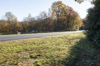 a couple of motorcycles driving down the road by the grass and trees during the fall