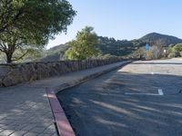 a red and black fire hydrant on a paved road by a tree and mountains