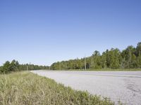 a paved roadway leading to wooded area near pine trees on shore line against blue sky