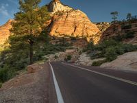 USA Road Shadow: Exploring Zion National Park