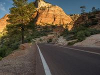 USA Road Shadow: Exploring Zion National Park