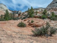 Road Through the USA: Traversing Zion National Park