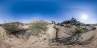 a panoramic image of a desert with trees and rock formations and dirt roads