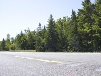 USA Road Trip: Scenic Landscape Nature