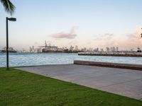 a person on a bike looking out to sea and a city skyline in the distance