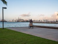 a person on a bike looking out to sea and a city skyline in the distance