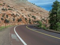 USA Road: Exploring Zion National Park's Majestic Mountains