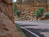 USA Road: Exploring Zion National Park, Utah, with Mountains in View