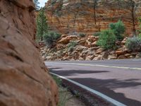 USA Road: Exploring Zion National Park, Utah, with Mountains in View