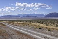 USA: Rugged Desert Road in the Highland Landscape