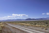 USA: Rugged Desert Road in the Highland Landscape