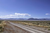 USA: Rugged Desert Road in the Highland Landscape