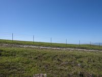 USA: Rural Field with Low Curves and Grass