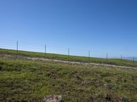 USA: Rural Field with Low Curves and Grass