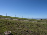 USA: Rural Field with Low Curves and Grass