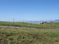 USA: Rural Field with Low Curves and Grass