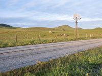 USA's Rural Highland: Endless Grass Plains and Beautiful Scenery