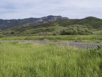 USA Rural Infrastructure: A Lane Road in the Wilderness