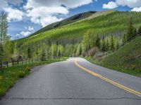 road in the mountains with grass and trees and a fence surrounding it on a bright day