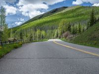 road in the mountains with grass and trees and a fence surrounding it on a bright day