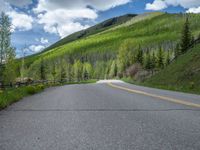 road in the mountains with grass and trees and a fence surrounding it on a bright day