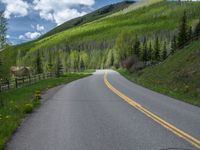 road in the mountains with grass and trees and a fence surrounding it on a bright day