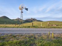 USA Rural Landscape: Vast Grass Field and Open Space