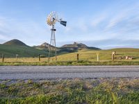 USA Rural Landscape: Vast Grass Field and Open Space