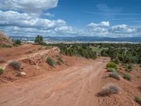 USA's Rural Landscape: Gravel Street leading to an Overlook