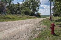 USA Rural Landscape: Road and Grass