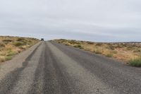 Rural Road in USA: Grass and Trees Surrounding the Path