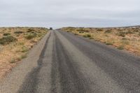 Rural Road in USA: Grass and Trees Surrounding the Path