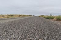 Rural Road in USA: Grass and Trees Surrounding the Path