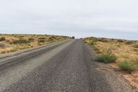 Rural Road in USA: Grass and Trees Surrounding the Path