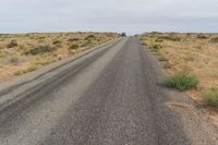 Rural Road in USA: Grass and Trees Surrounding the Path