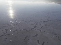 the sun is shining brightly over the horizon of the water's surface as it reflects the sky