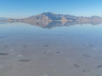 USA Salt Lake Landscape: Desert Mountains Scenery