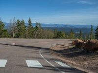 the mountains are visible in the distance from this wide, empty road, overlooking a wide landscape and forest