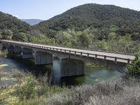 a view from a bridge overlooking trees and a mountain range of hills behind a bridge