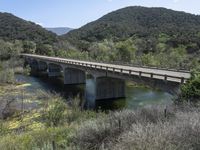 a view from a bridge overlooking trees and a mountain range of hills behind a bridge