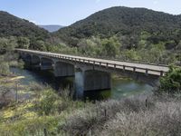 a view from a bridge overlooking trees and a mountain range of hills behind a bridge