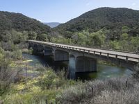 a view from a bridge overlooking trees and a mountain range of hills behind a bridge