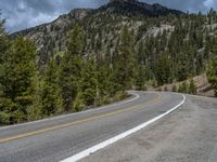 a curve road through a forest with a mountain range in the distance in the background