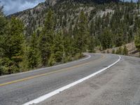 a curve road through a forest with a mountain range in the distance in the background