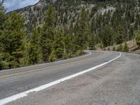 a curve road through a forest with a mountain range in the distance in the background